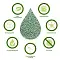 Homecat комкующийся наполнитель для кошек "Эколайн" Зеленый Чай #2